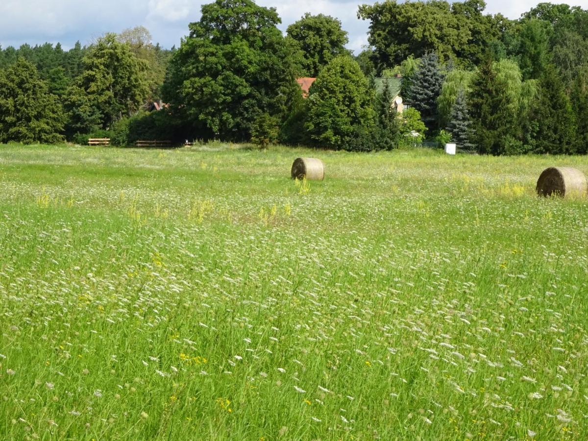 Ferienanlage Waschbaer Country Templin Eksteriør bilde