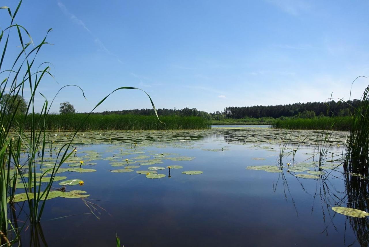Ferienanlage Waschbaer Country Templin Eksteriør bilde
