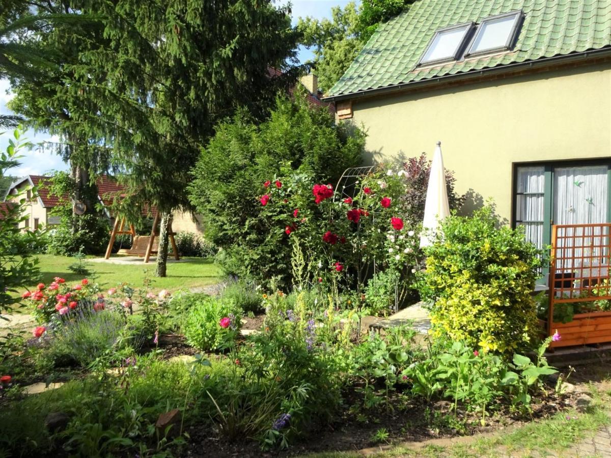Ferienanlage Waschbaer Country Templin Eksteriør bilde