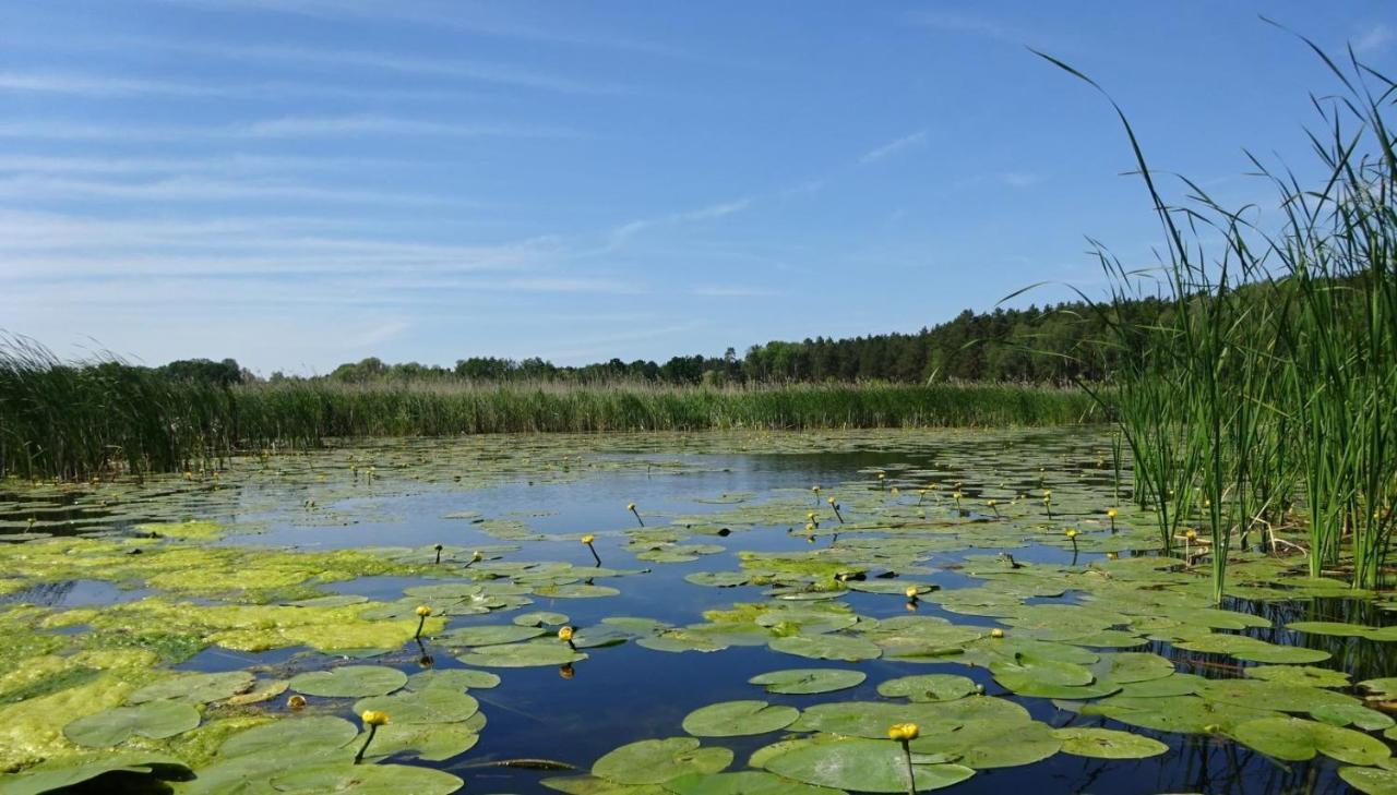 Ferienanlage Waschbaer Country Templin Eksteriør bilde